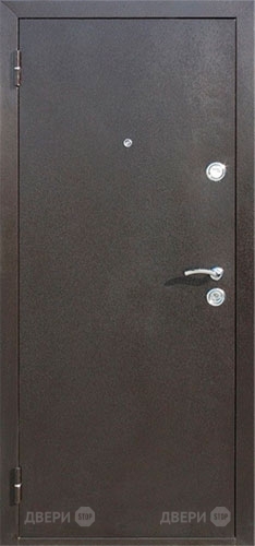 Входная металлическая Дверь СТОП ЭКО-2 Венге в Пущино