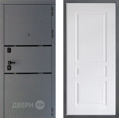 Входная металлическая Дверь Дверной континент Диамант Дизайн ФЛ-243 Альберо Браш серебро в Пущино