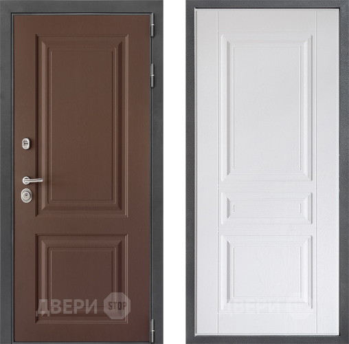 Входная металлическая Дверь Дверной континент ДК-3/729 ФЛ-243 Альберо Браш серебро в Пущино