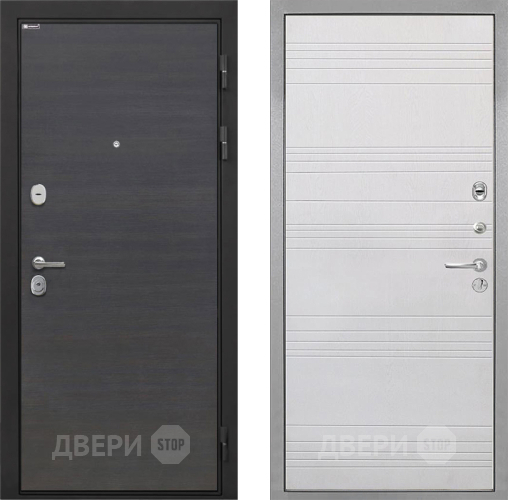 Входная металлическая Дверь Интекрон (INTECRON) Гектор Эковенге ФЛ-316 Белый ясень в Пущино
