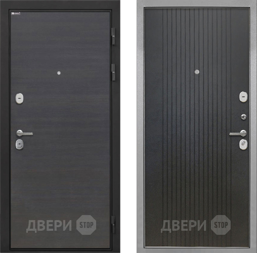 Входная металлическая Дверь Интекрон (INTECRON) Гектор Эковенге ФЛ-295 Лофт черный в Пущино