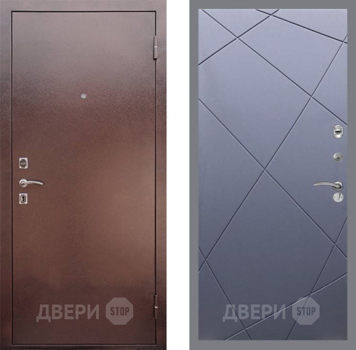 Входная металлическая Дверь Рекс (REX) 1 FL-291 Силк титан в Пущино